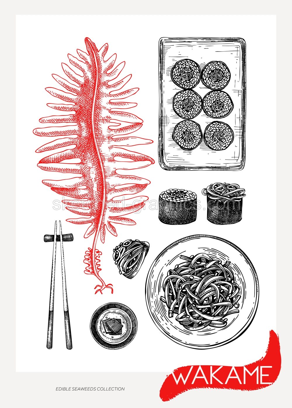 Edible seaweed frame design in collage style. Hand drawn wakame sketches. Sea vegetables vector illustration. Japanese cuisine dishes menu. Healthy food ingredients in engraved style Illustration